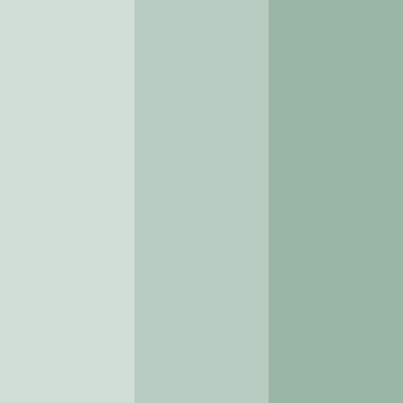 OLIVE V - Image 3