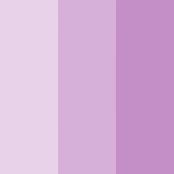 VIOLET H - Image 3